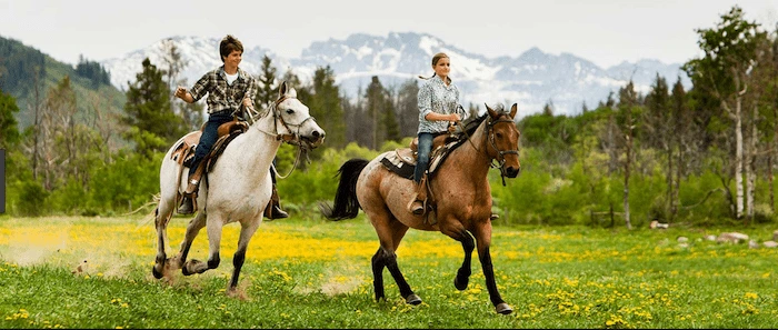 Confident plus-size woman riding Newcastle a horse through a field with a smile on her face.